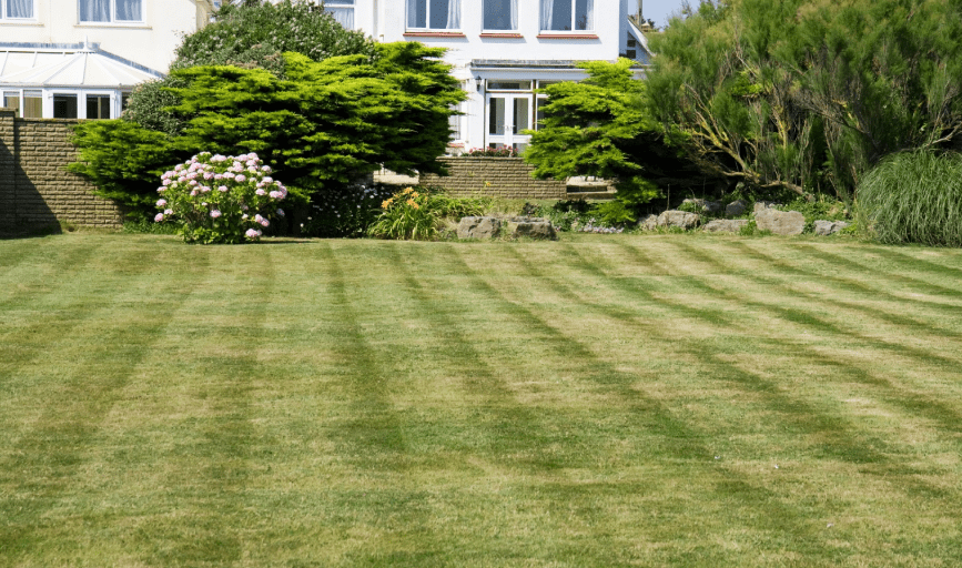 LAWN MOWING