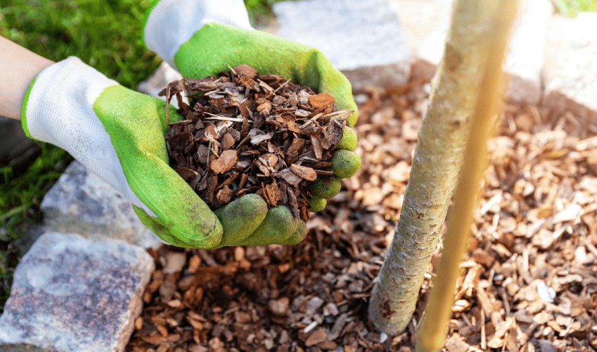 MULCHING